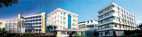 興業(yè)皮革科技股份有限公司在深交所成功上市（1992年，公司參股興業(yè)皮革廠，成為主要股東之一）。